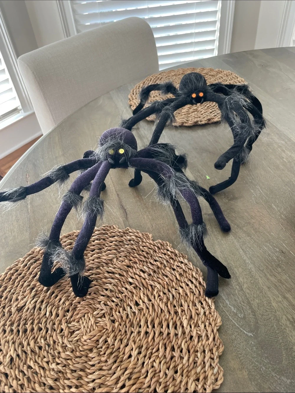 Spiders Halloween set of two